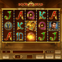 Bizzo - Book of Dead Slot Game - Play'n GO Casino Slots